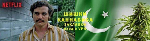 шишки Арсеньев