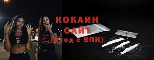 сатива Аркадак