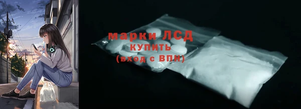 сатива Аркадак