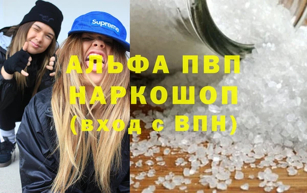 сатива Аркадак