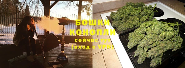 шишки Арсеньев