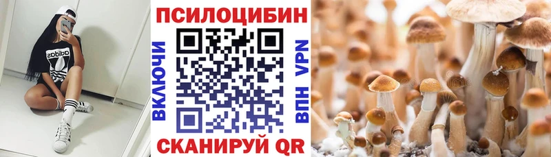 купить  цена  MEGA как зайти  Галлюциногенные грибы Psilocybine cubensis  Ивантеевка 